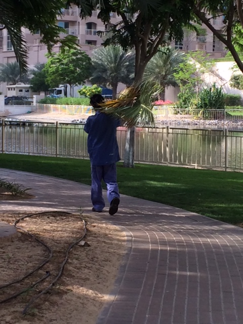 Havemand, der bærer beskårne palmeblade væk