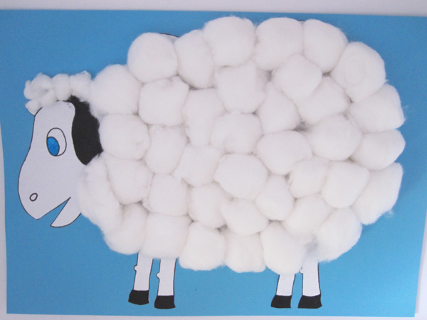 Cotton-Wool-Sheep-Med